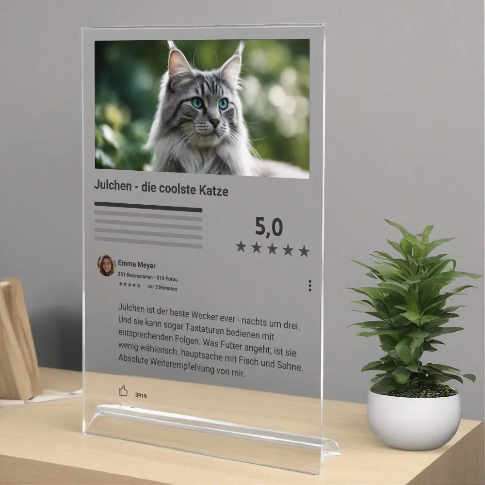 Google Bewertung Katze individualisierbar aus Acrylglas Geschenk Palast