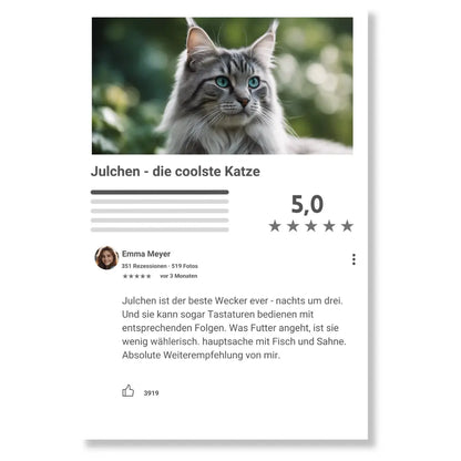 Google Bewertung Katze individualisierbar aus Acrylglas Geschenk Palast