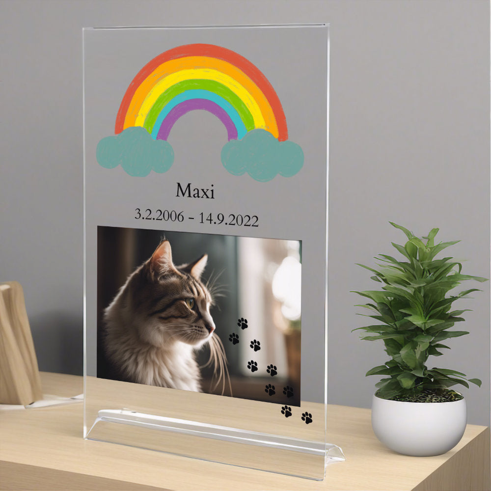 Trauerbild Regenbogenbrücke Katze individualisierbar aus Acrylglas