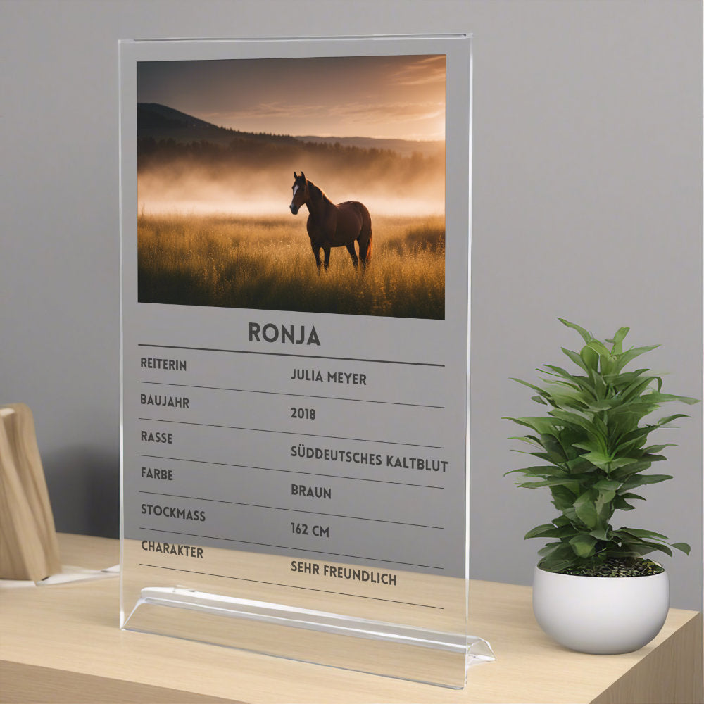 Quartettkarte Acrylglas Pferd personalisierbar mit Foto & Text