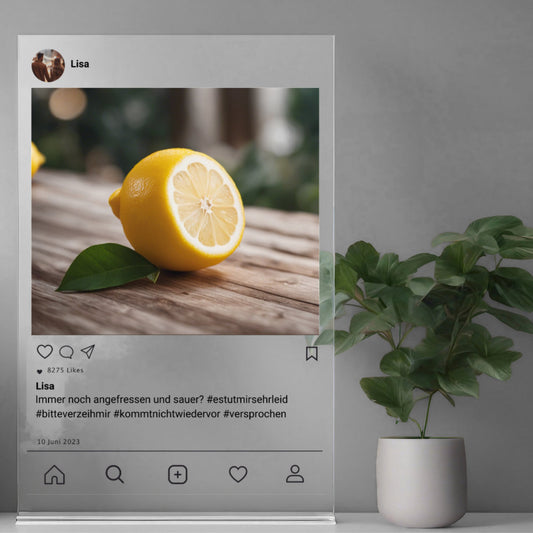 Social Media Post Acrylglas Entschuldigung personalisierbar mit Foto & Text